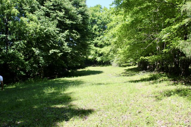 0 Hall Rd, Greenbrier, TN 37073