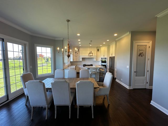 23241 Sunburst Point, Frankfort, IL 60423