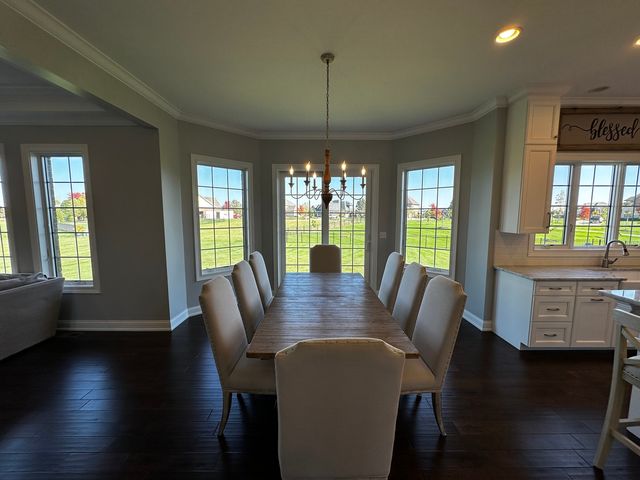 23241 Sunburst Point, Frankfort, IL 60423