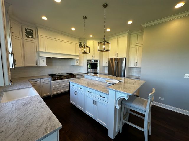 23241 Sunburst Point, Frankfort, IL 60423