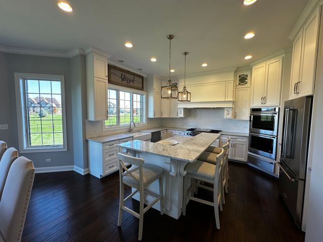 23241 Sunburst Point, Frankfort, IL 60423