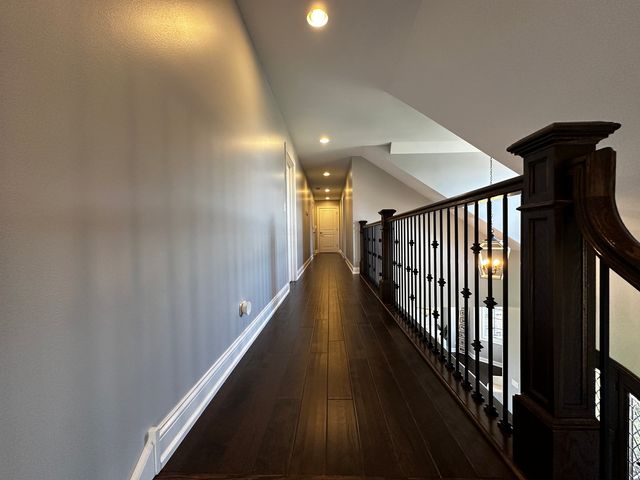 23241 Sunburst Point, Frankfort, IL 60423