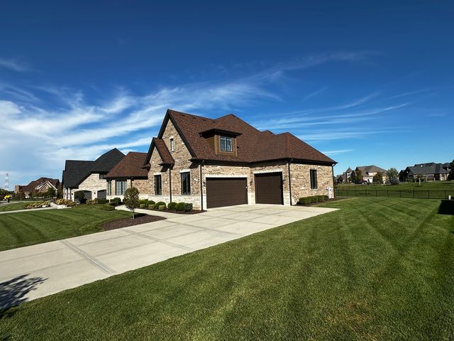 23241 Sunburst Point, Frankfort, IL 60423