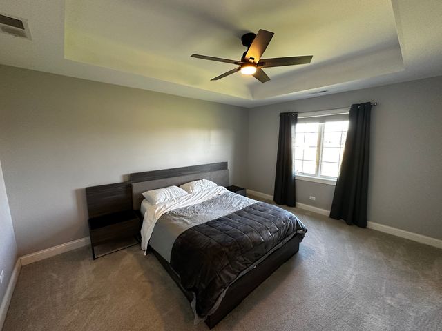 23241 Sunburst Point, Frankfort, IL 60423