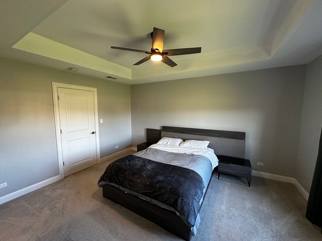 23241 Sunburst Point, Frankfort, IL 60423