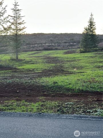 232 Suncrest Drive, Castle Rock, WA 98611