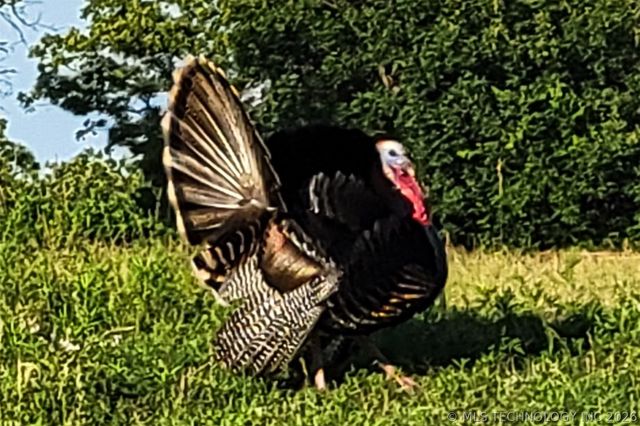 5413 N 105th West Avenue, Sand Springs, OK 74063