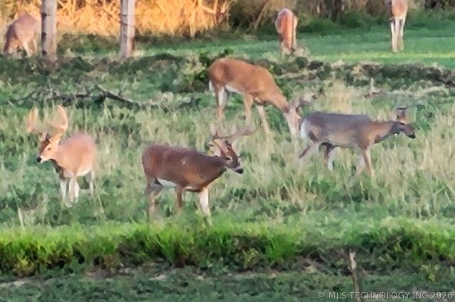 5413 N 105th West Avenue, Sand Springs, OK 74063