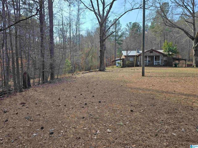 1958 HORNS LAKE ROAD, Talladega, AL 35160