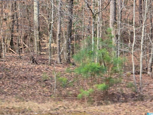 1958 HORNS LAKE ROAD, Talladega, AL 35160