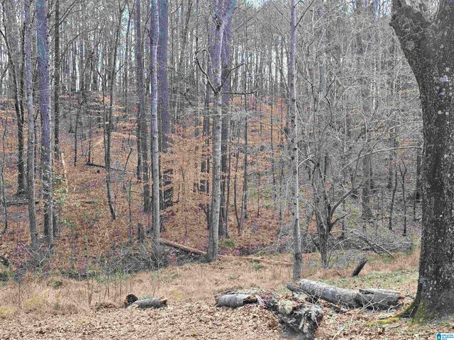 1958 HORNS LAKE ROAD, Talladega, AL 35160