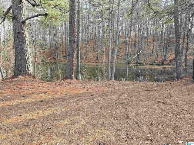 1958 HORNS LAKE ROAD, Talladega, AL 35160