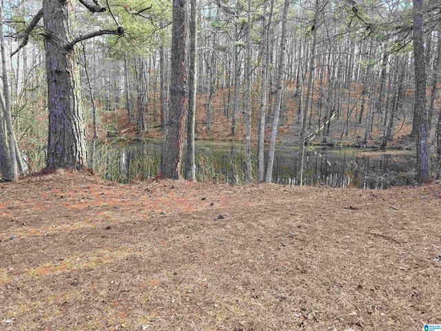 1958 HORNS LAKE ROAD, Talladega, AL 35160