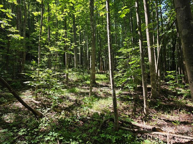 Lot 45 South View Court, Marion, NC 28752