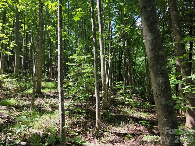 Lot 45 South View Court, Marion, NC 28752
