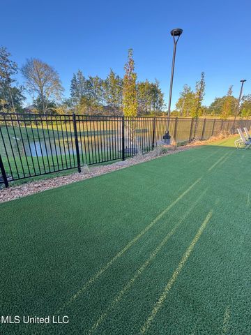 74 Harvest Dance Drive, Byhalia, MS 38611