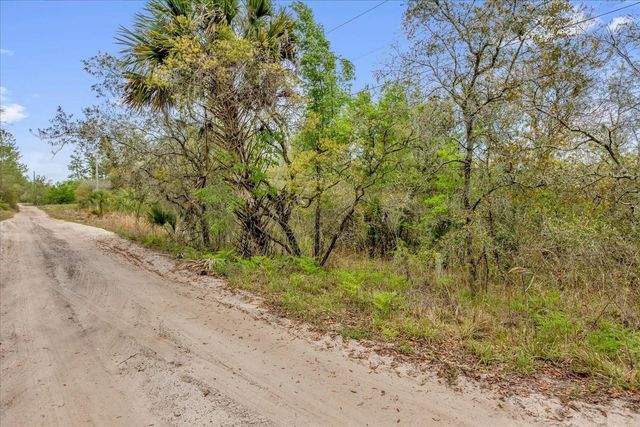 CHESTNUT AVENUE, Orange City, FL 32763