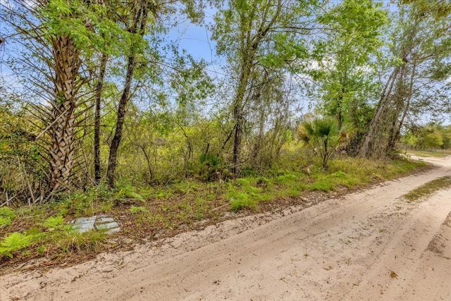 CHESTNUT AVENUE, Orange City, FL 32763
