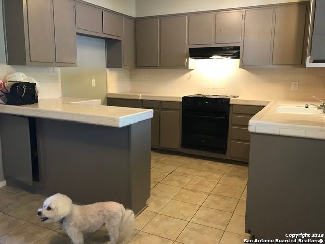 175 Harrigan Ct, Alamo Heights, TX 78209