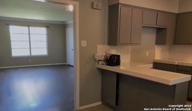 175 Harrigan Ct, Alamo Heights, TX 78209