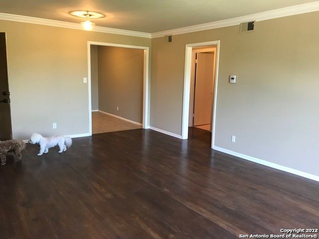 175 Harrigan Ct, Alamo Heights, TX 78209