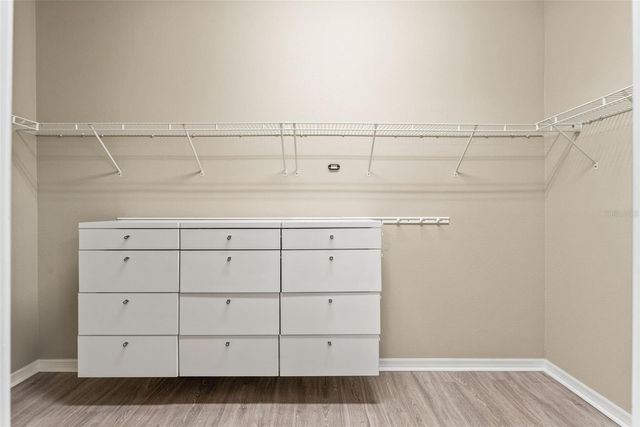 8012 OLIVE BROOK DRIVE, Wesley Chapel, FL 33545