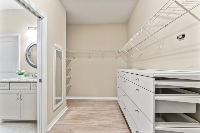 8012 OLIVE BROOK DRIVE, Wesley Chapel, FL 33545