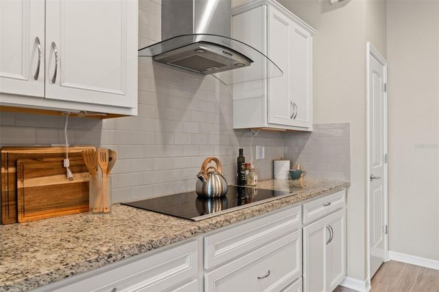 8012 OLIVE BROOK DRIVE, Wesley Chapel, FL 33545