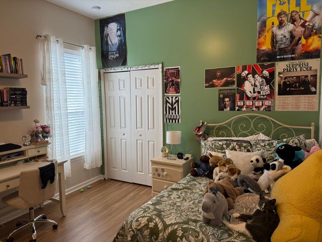 356 Palmas Cir, St Augustine, FL 32086