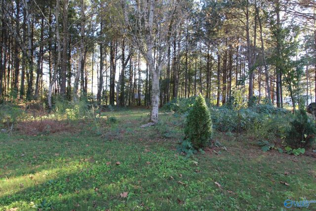 88 Pierce Road, Albertville, AL 35951