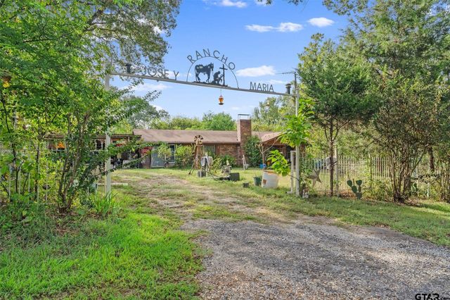 2605 VZ County Road 4923, Ben Wheeler, TX 75754