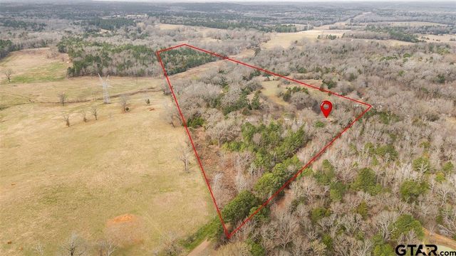 2605 VZ County Road 4923, Ben Wheeler, TX 75754