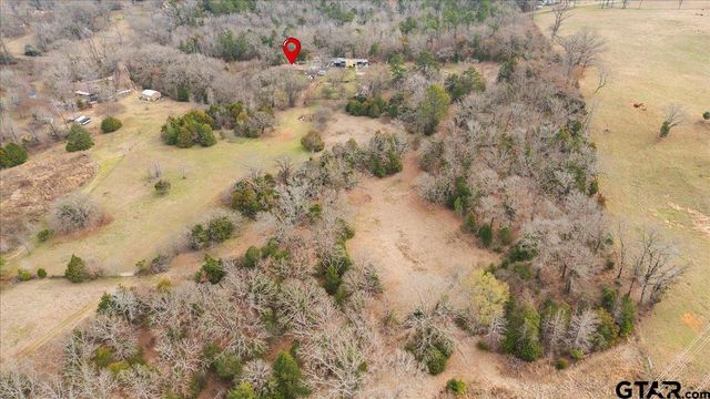 2605 VZ County Road 4923, Ben Wheeler, TX 75754