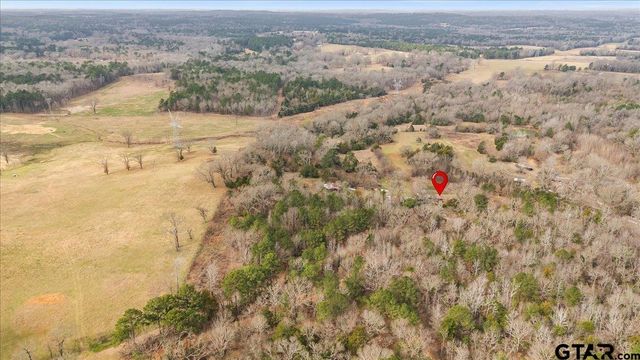 2605 VZ County Road 4923, Ben Wheeler, TX 75754