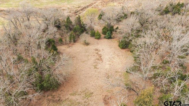 2605 VZ County Road 4923, Ben Wheeler, TX 75754