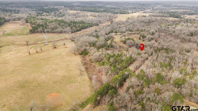 2605 VZ County Road 4923, Ben Wheeler, TX 75754