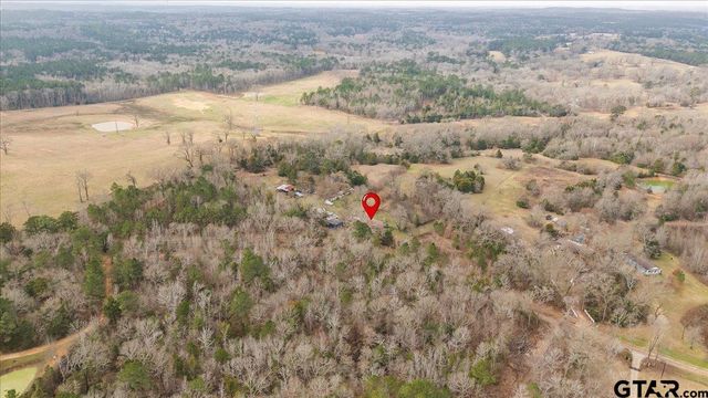 2605 VZ County Road 4923, Ben Wheeler, TX 75754