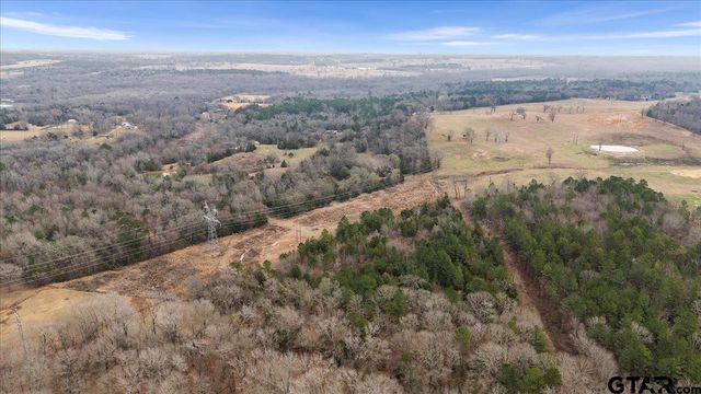 2605 VZ County Road 4923, Ben Wheeler, TX 75754