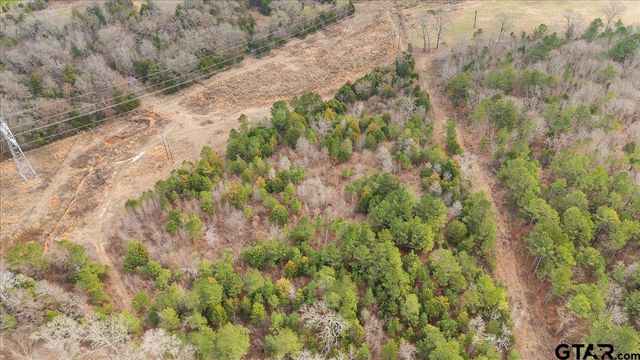 2605 VZ County Road 4923, Ben Wheeler, TX 75754