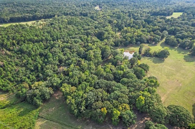 2605 VZ County Road 4923, Ben Wheeler, TX 75754