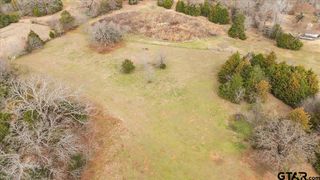 2605 VZ County Road 4923, Ben Wheeler, TX 75754
