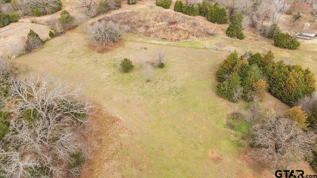 2605 VZ County Road 4923, Ben Wheeler, TX 75754