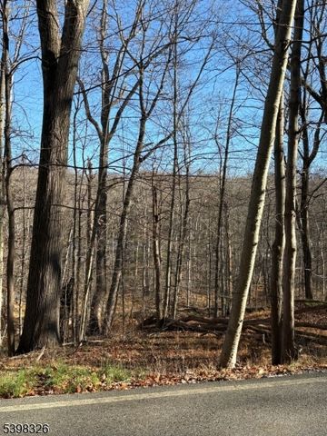 2 Kent Brook Ter, Kinnelon Boro, NJ 07405