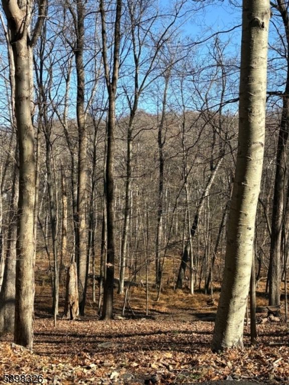 2 Kent Brook Ter, Kinnelon Boro, NJ 07405