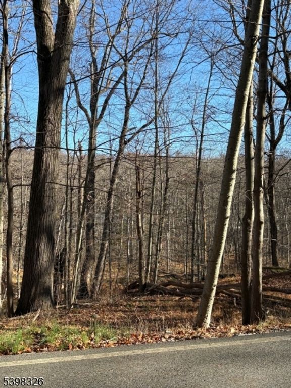 2 Kent Brook Ter, Kinnelon Boro, NJ 07405 — photo 2