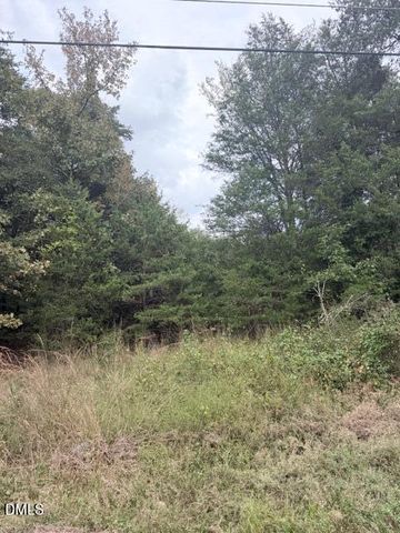 0 W Greensboro Chapel Hill Road, Liberty, NC 27298