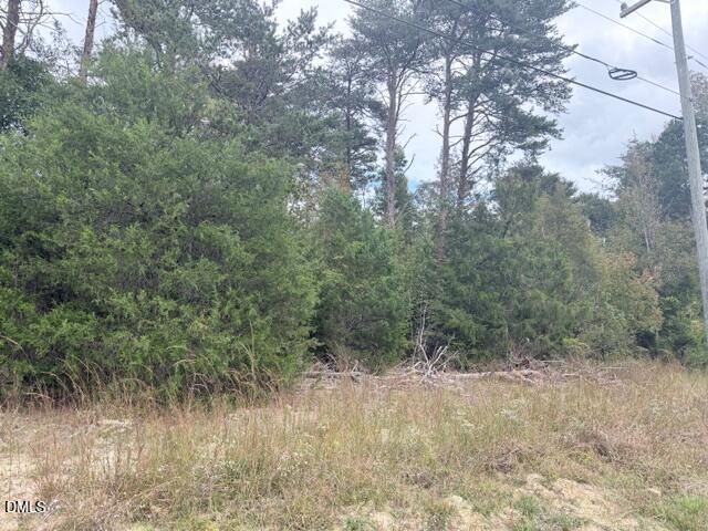 0 W Greensboro Chapel Hill Road, Liberty, NC 27298