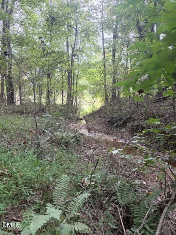 0 W Greensboro Chapel Hill Road, Liberty, NC 27298