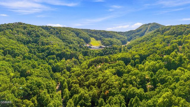 1155 Upper Alpine Way, Gatlinburg, TN 37738