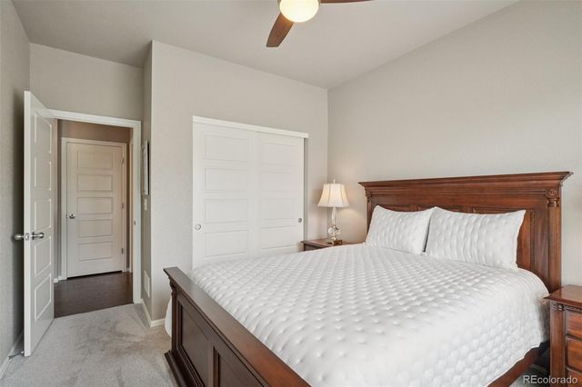 4438 Sidewinder Loop, Castle Rock, CO 80108